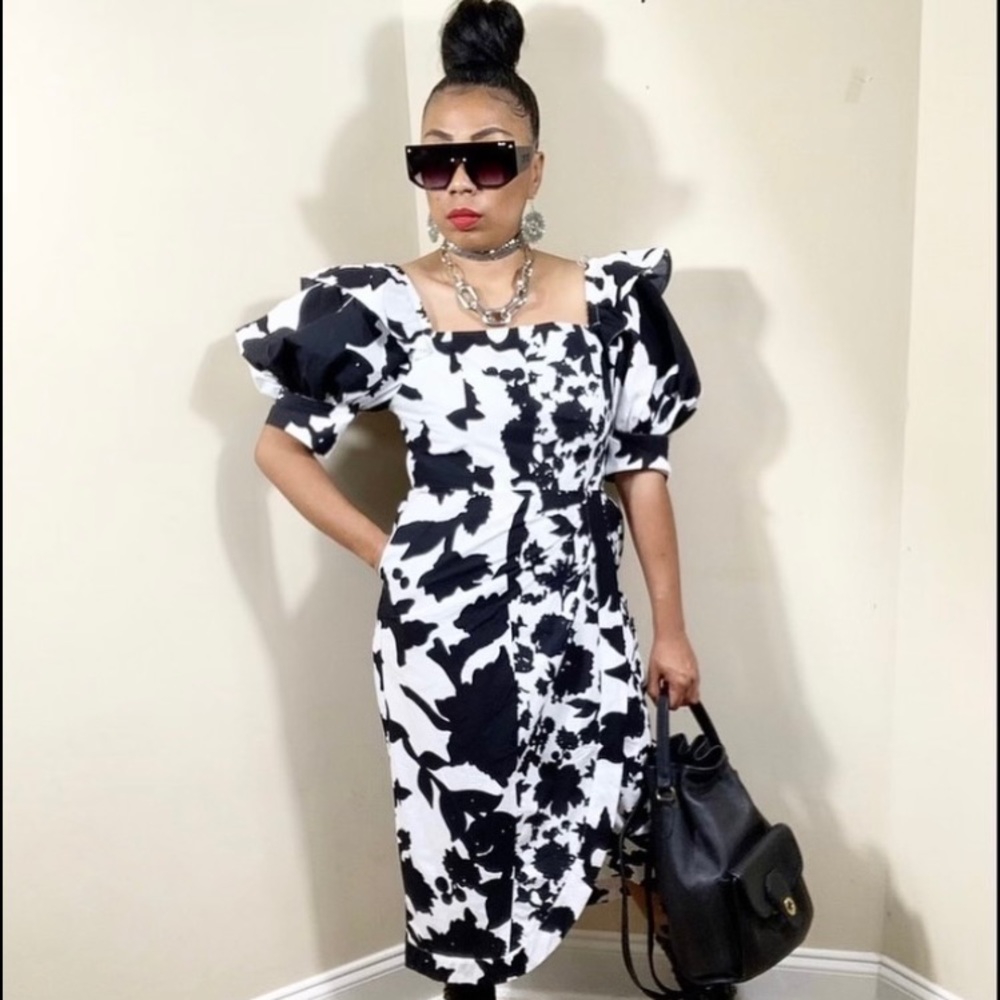 CHRISTOPHER JOHN ROGERS DRESS